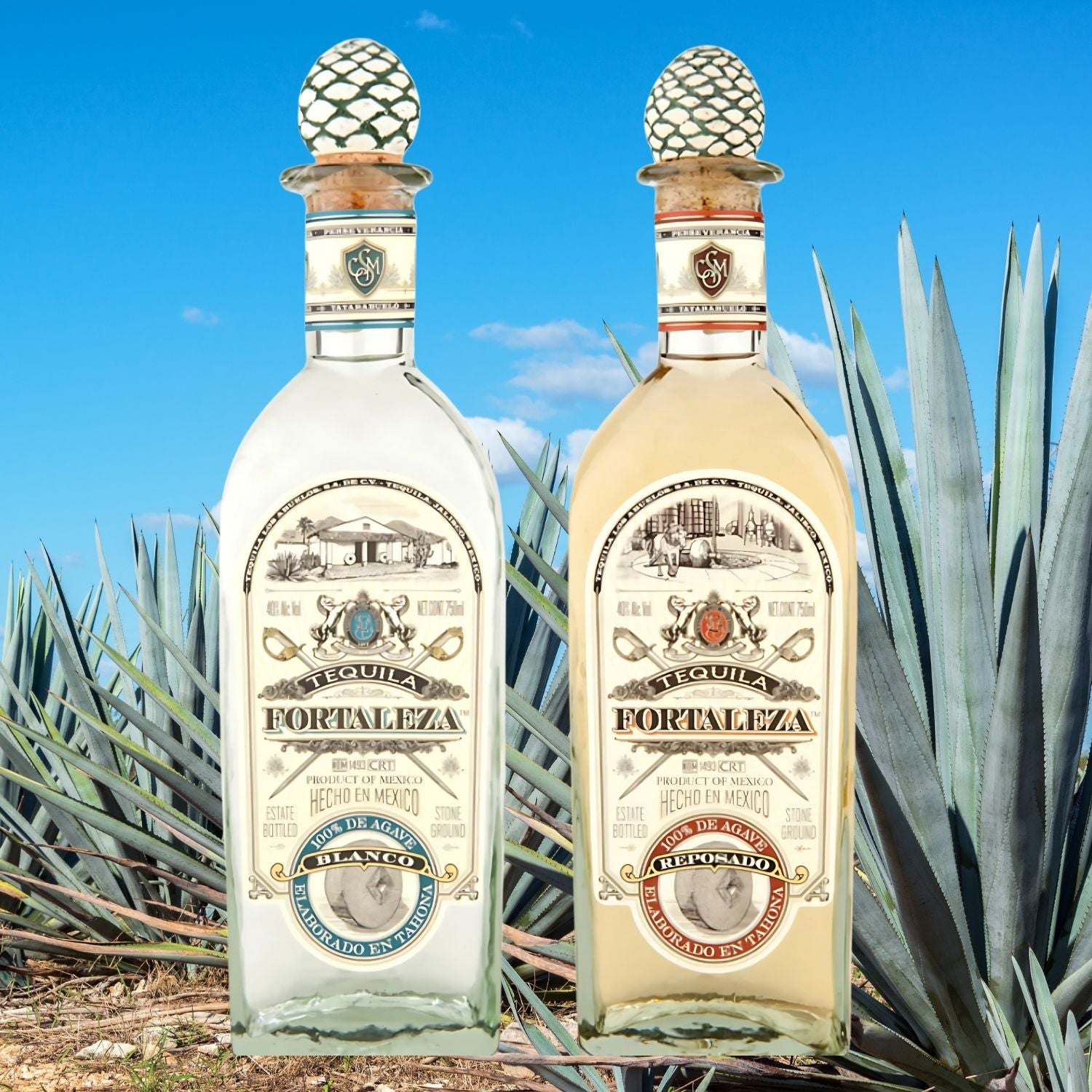 Fortaleza Blanco Tequila 750ml – Rare Bourbon Shop